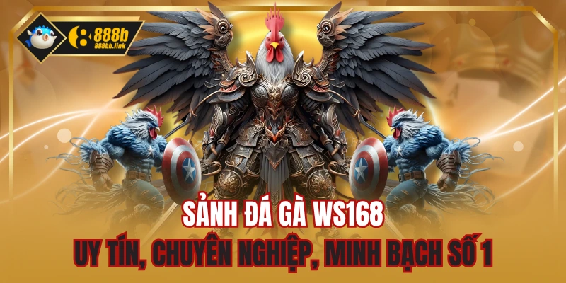 Sảnh Đá Gà WS168 - Uy Tín, Chuyên Nghiệp, Minh Bạch Số 1