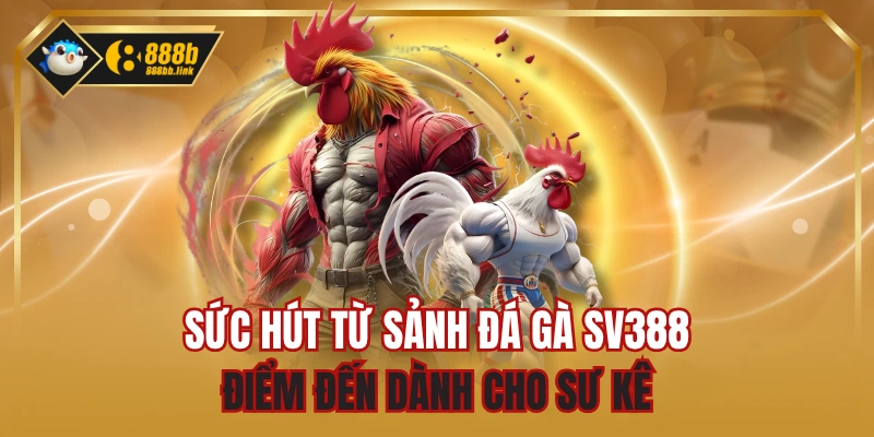 Sức Hút Từ Sảnh Đá Gà SV388 - Điểm Đến Dành Cho Sư Kê